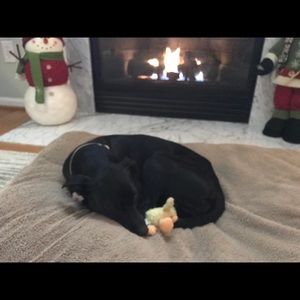 Meet your Posher, Danita